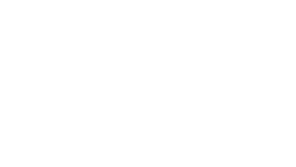 NN logo