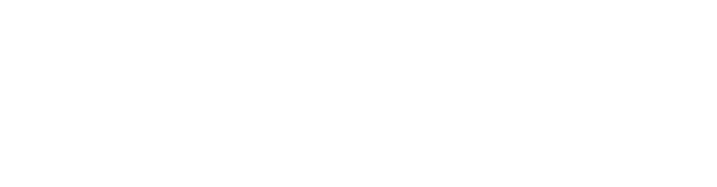 Notino logo