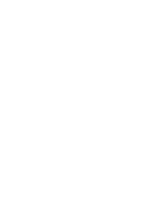 Insia