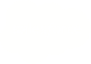 Sales Force